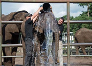 تحدي دلو الثلج ....!