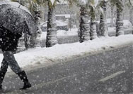 دعوة من نائب رئيس الدولة للمساهمة في إغاثة اللاجئين #عاصفة_هدى