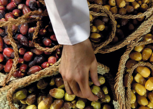 رطب الإمارات.. «الشجرة الأم» تعطي خيرها منذ القدم