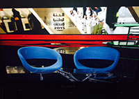 انتخابات المجلس الوطني الإتحادي